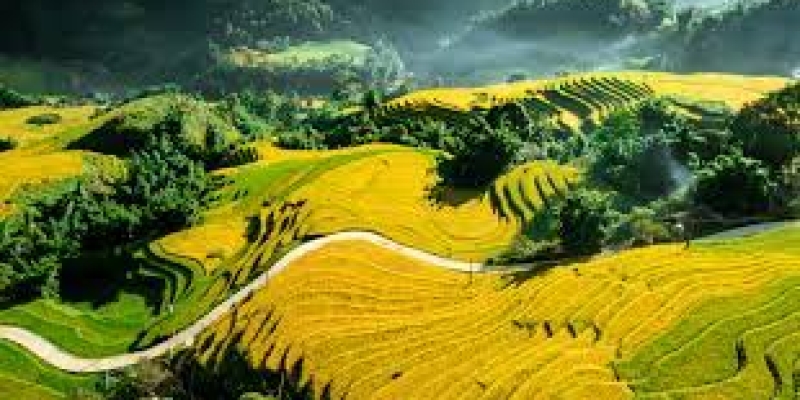 HÈ 2026: TP.HCM – HÀ NỘI – HẠ LONG – NINH BÌNH TRÀNG AN – TAM CHÚC – SAPA – FANSIPAN 5N4Đ