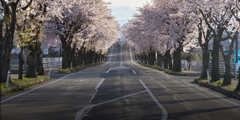 HÈ 2026: CUNG ĐƯỜNG VÀNG NHẬT BẢN 5N5Đ